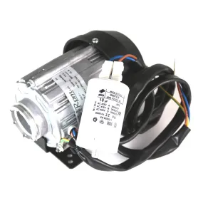 110V Internal Pump Motor