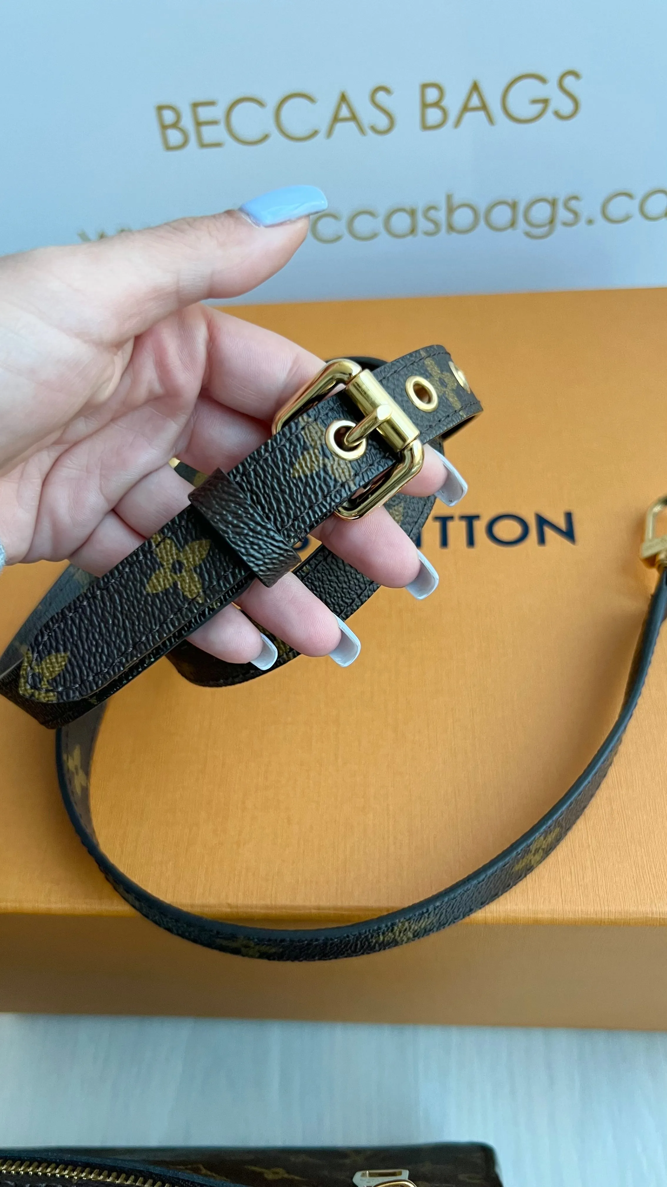 Louis Vuitton Pochette Metis Bag