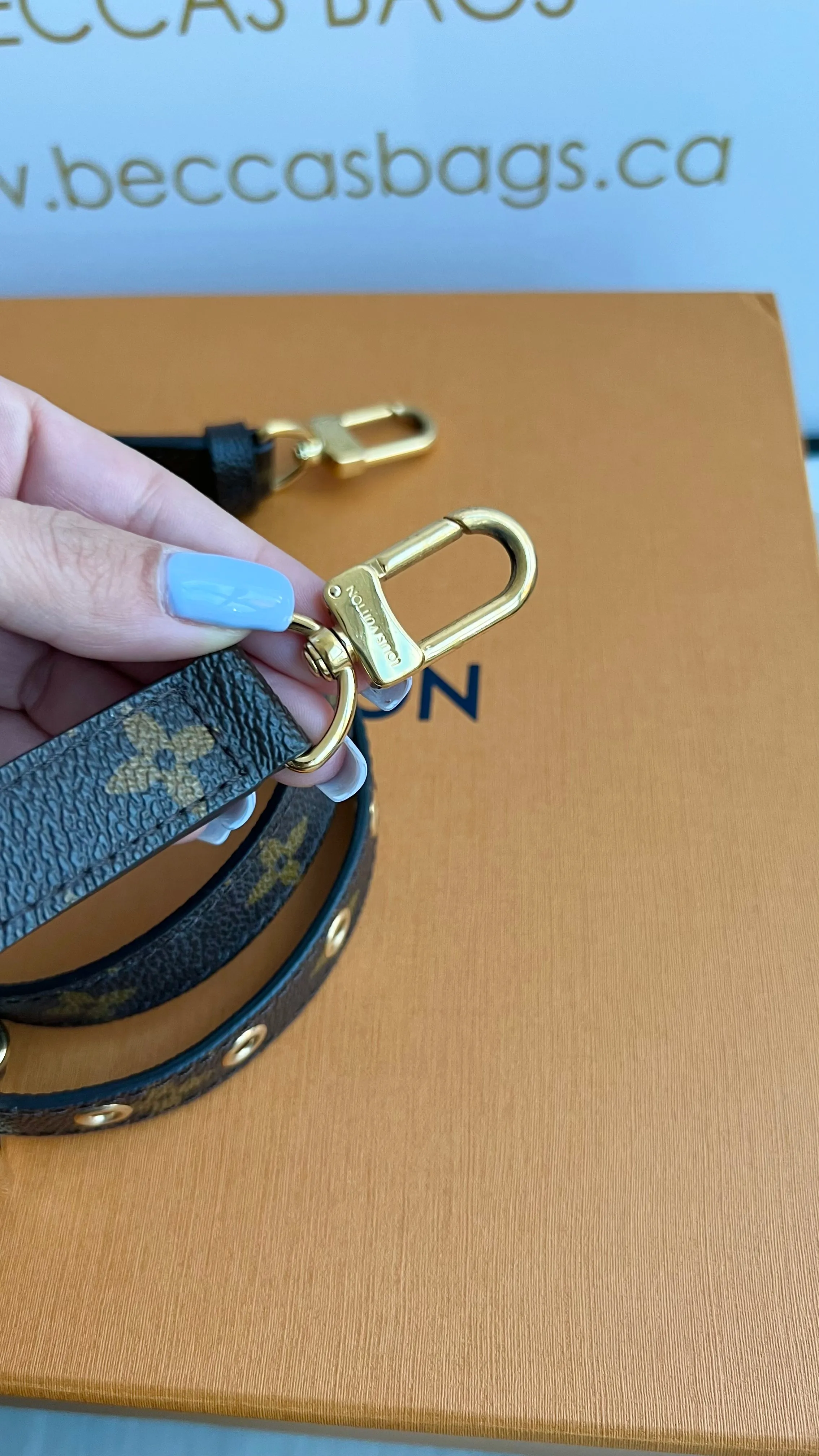 Louis Vuitton Pochette Metis Bag