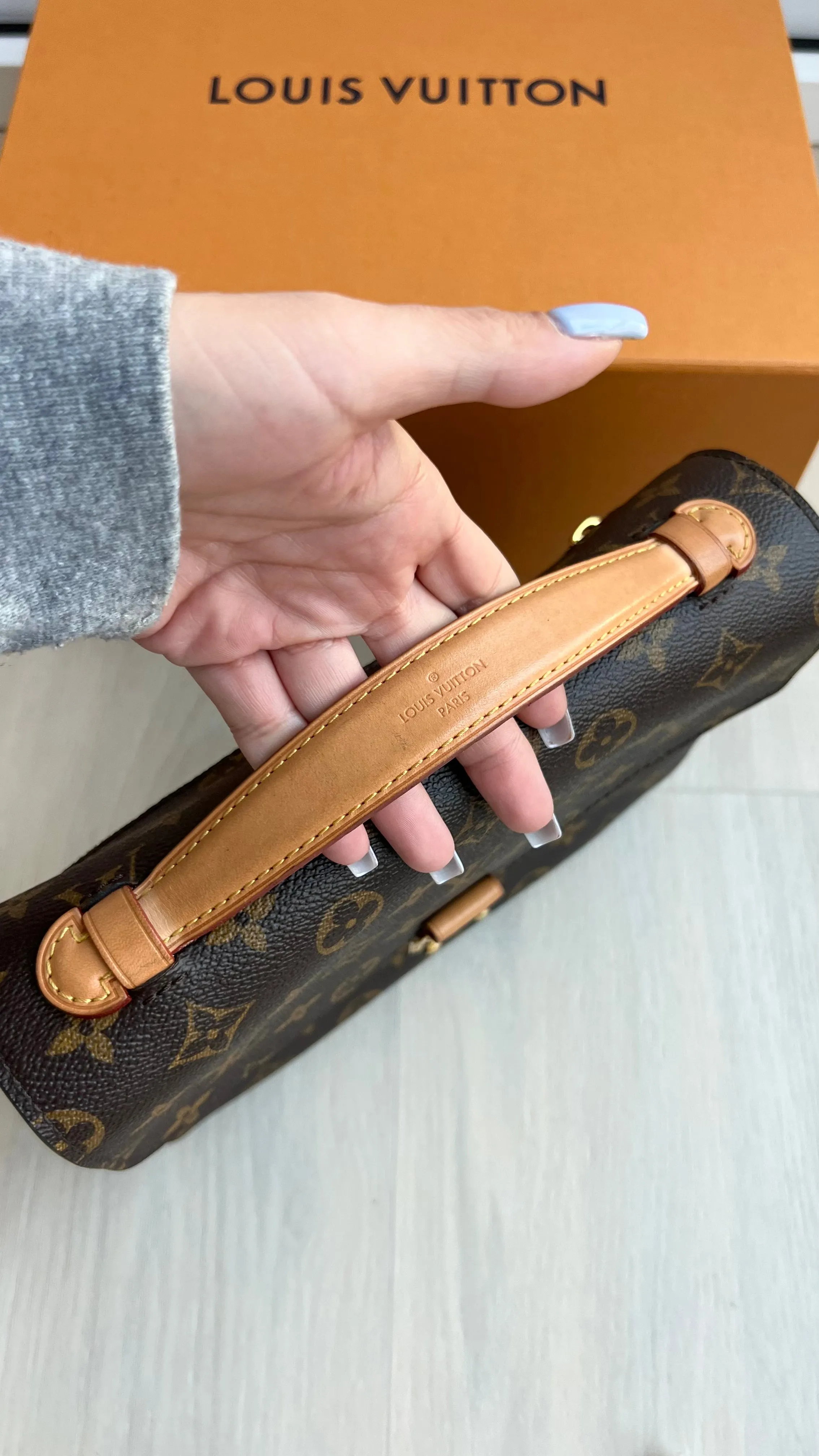 Louis Vuitton Pochette Metis Bag