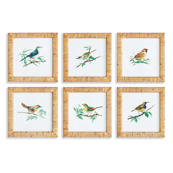 Songbird Petite Prints - (set of six)